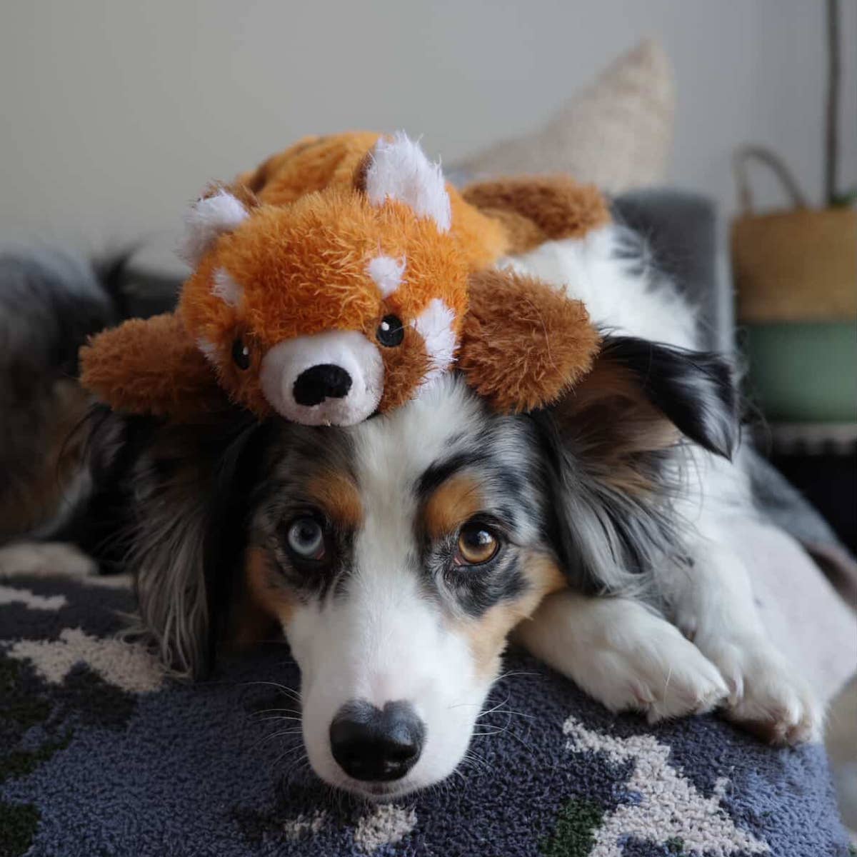 Dog Toy Red Panda Stuffless Squeaker Toy