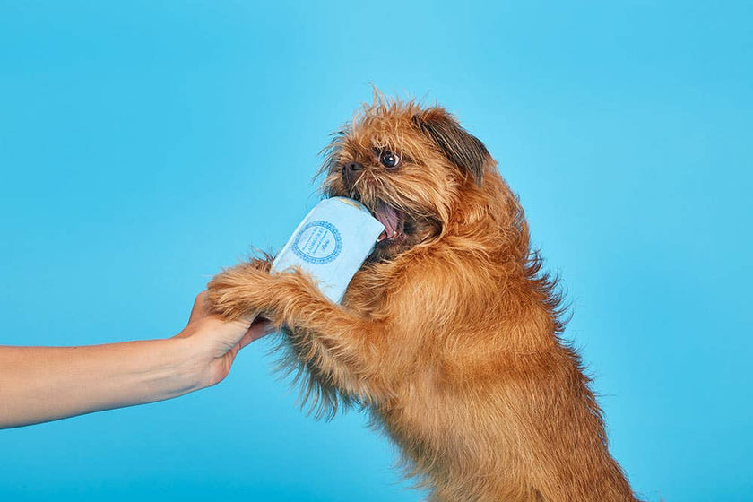 BARK Wee Wee Macarons Dog Toy