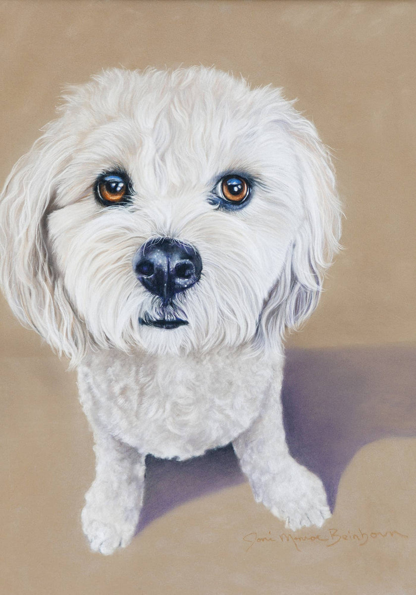 Cavachon - JMB Portrait Garden Flag