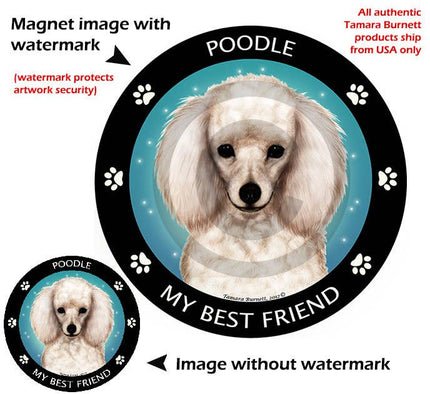 Poodle White My Best Friend Circular Magnet