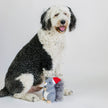 Christmas Squirrel Plush Furry Tail Large Dog Toy