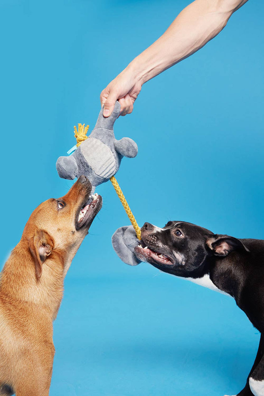 BARK Herbert the Herbivore Dog Toy