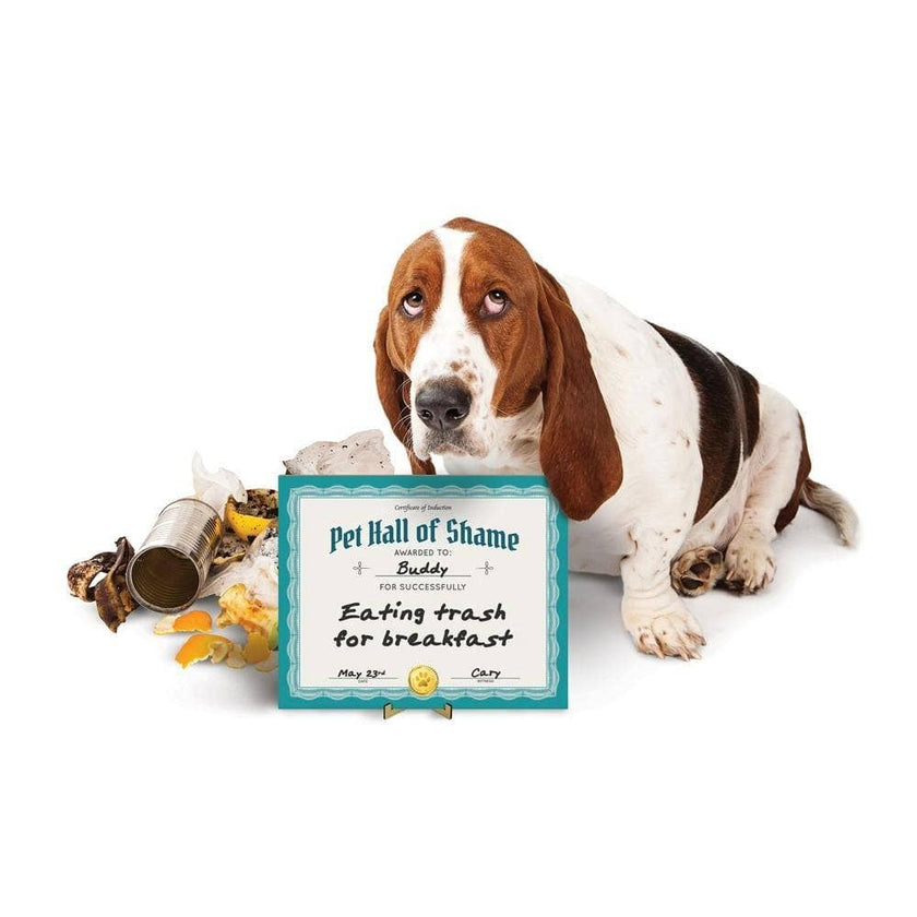 Howligans - Pet Hall of Shame