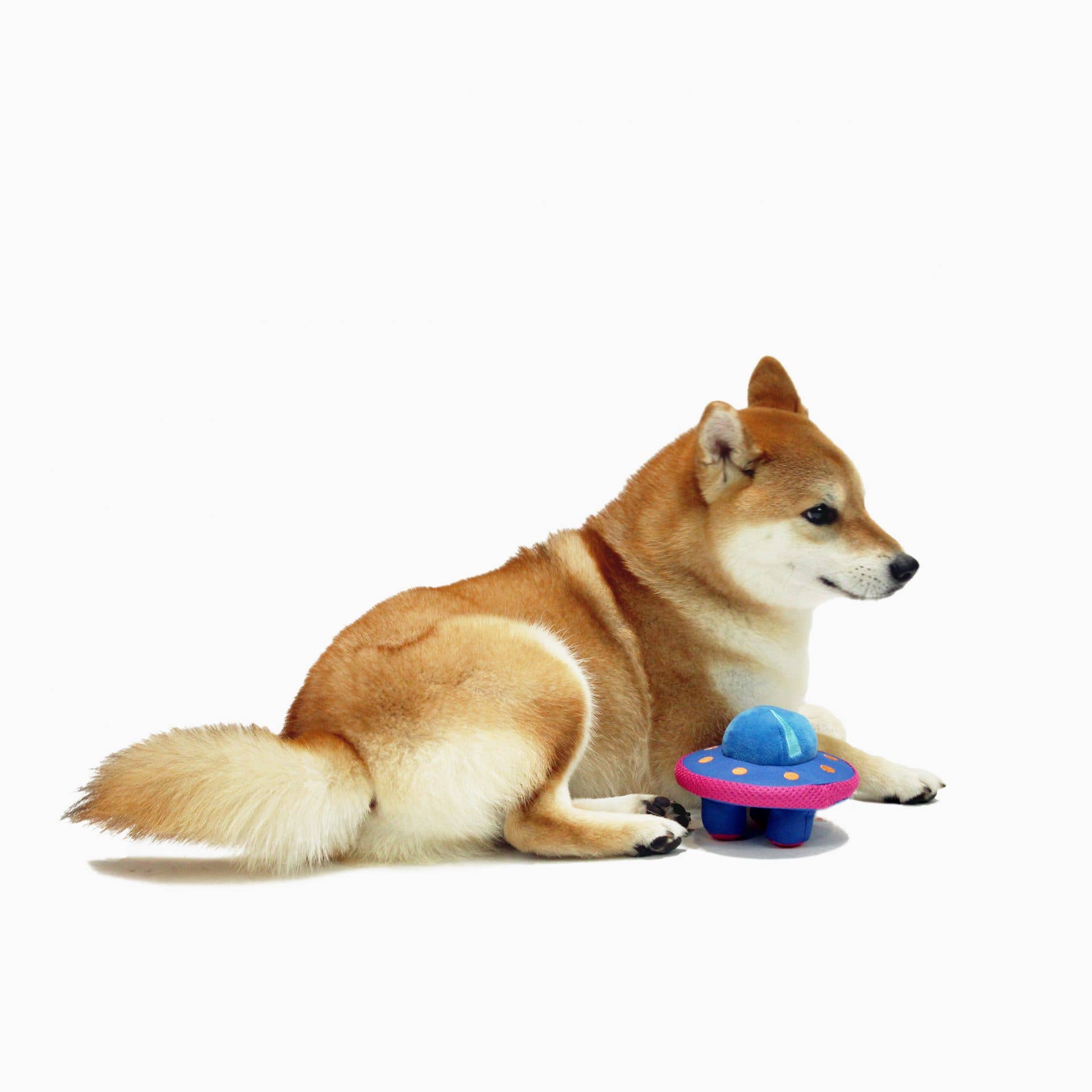 Dog Toy UFO Space Paws Dog Plush Toy