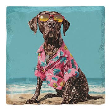 German Shorthaired Pointer Beach Dog | Drink Coaster