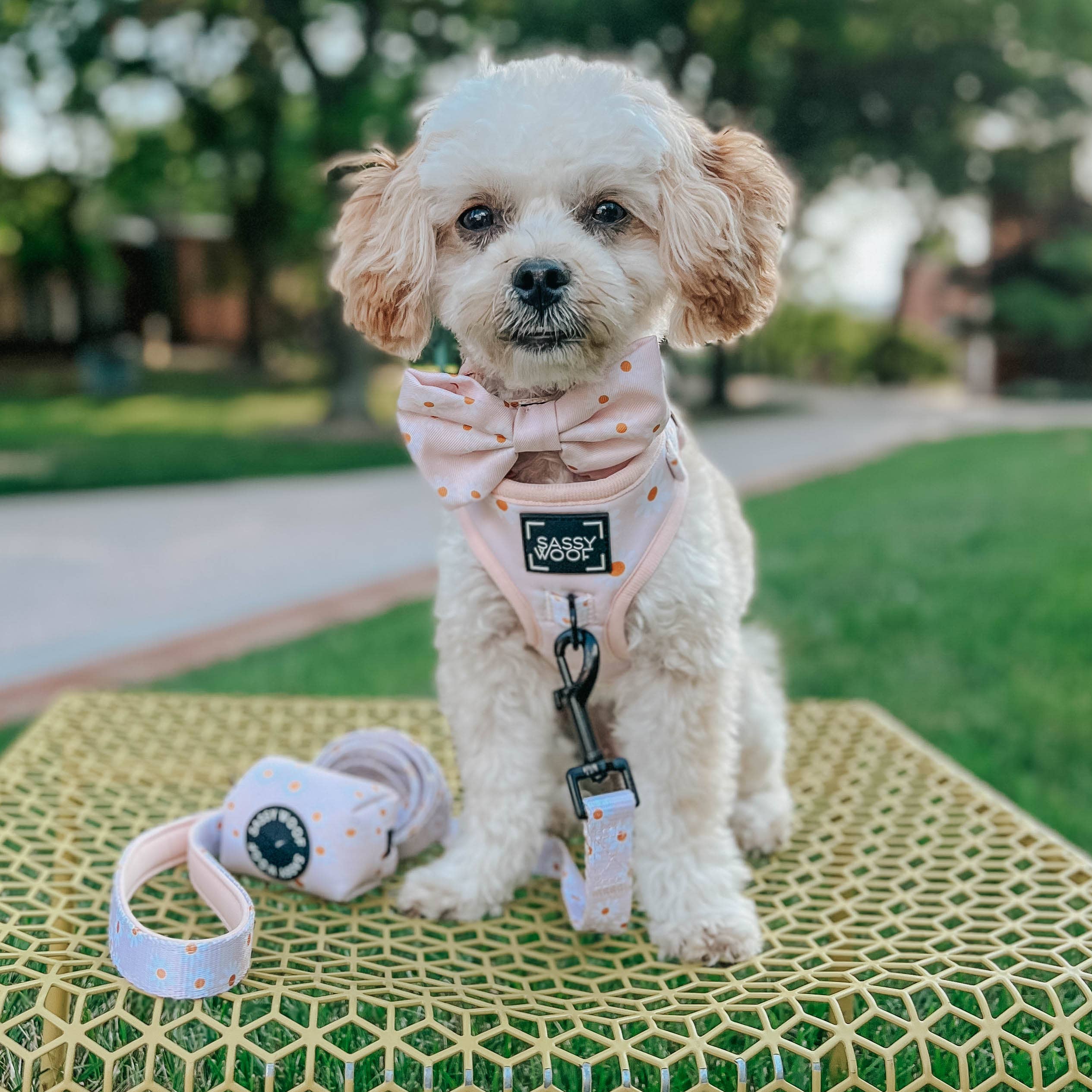 Dog Waste Bag Holder Dainty Daisy With Clasp
