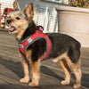 Reflective Lightweight Breathable Step in Dog Harness