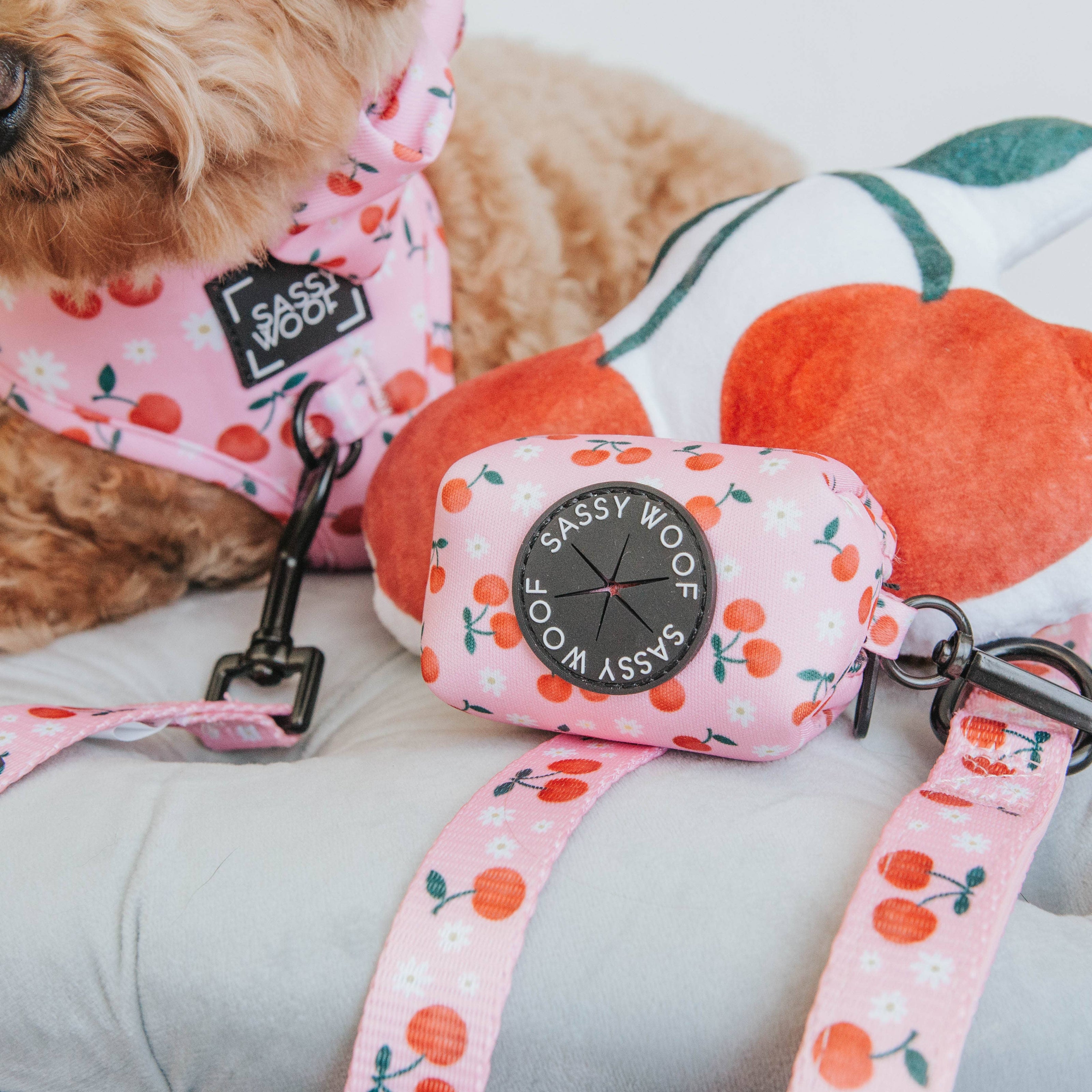 Dog Waste Bag Holder Mon Cherry Pink With Clasp