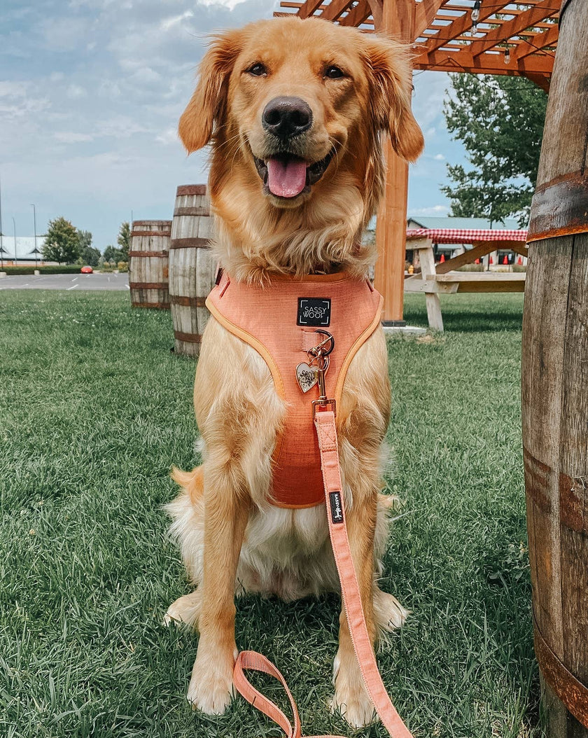 Dog Waste Bag Holder Apple Cider With Clasp
