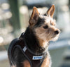 Reflective Lightweight Breathable Step in Dog Harness