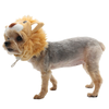 Lion Dog or Cat Costume Hat