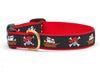 Pirate Dog Collar