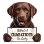 Labrador Chocolate Chip Clip