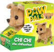 Westminster Chi Chi the Walking Chihuahua Dog