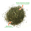 Purrple Passion - Silvervine and Catnip Blend