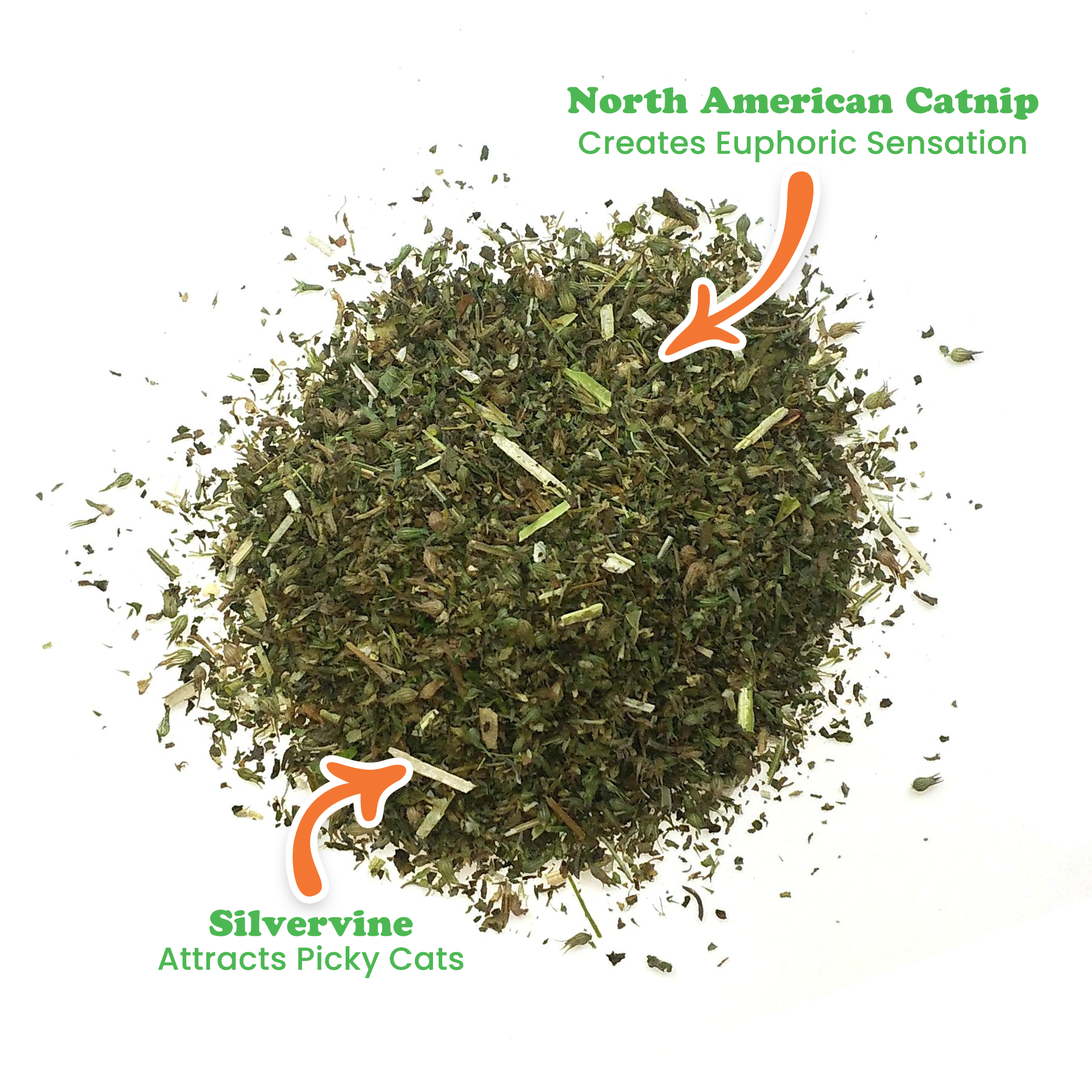 Purrple Passion - Silvervine and Catnip Blend