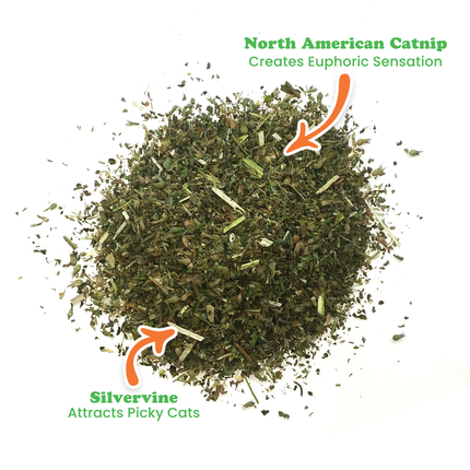 Purrple Passion - Silvervine and Catnip Blend