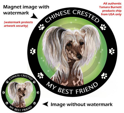 Chinese Crested Hairless My Best Friend Circular Magnet