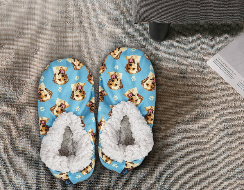 Labrador, Yellow Slippers