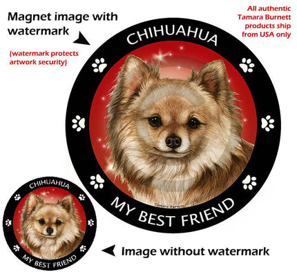 Chihuahua Long Hair Fawn My Best Friend Circular Magnet