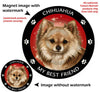 Chihuahua Long Hair Fawn My Best Friend Circular Magnet