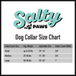 Salty Paws Blue Wave Dog Leash