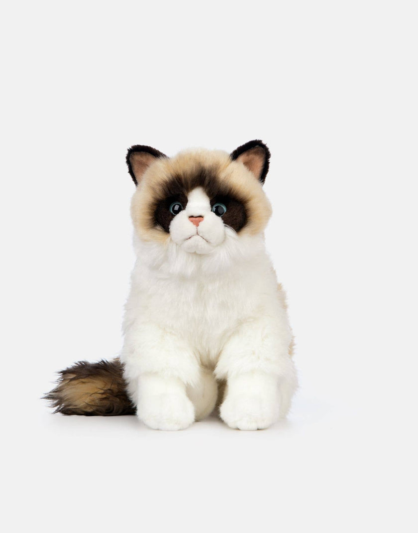 Living Nature Ragdoll Cat