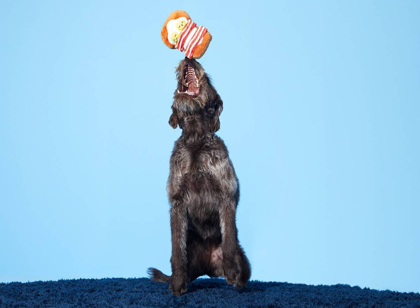 BARK Barkfest in Bed Dog Toy