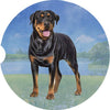 Rottweiler Car Coaster