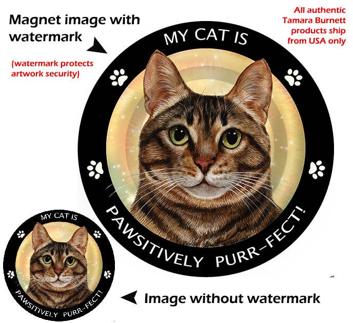 Brown Tabby Cat My Best Friend Circular Magnet