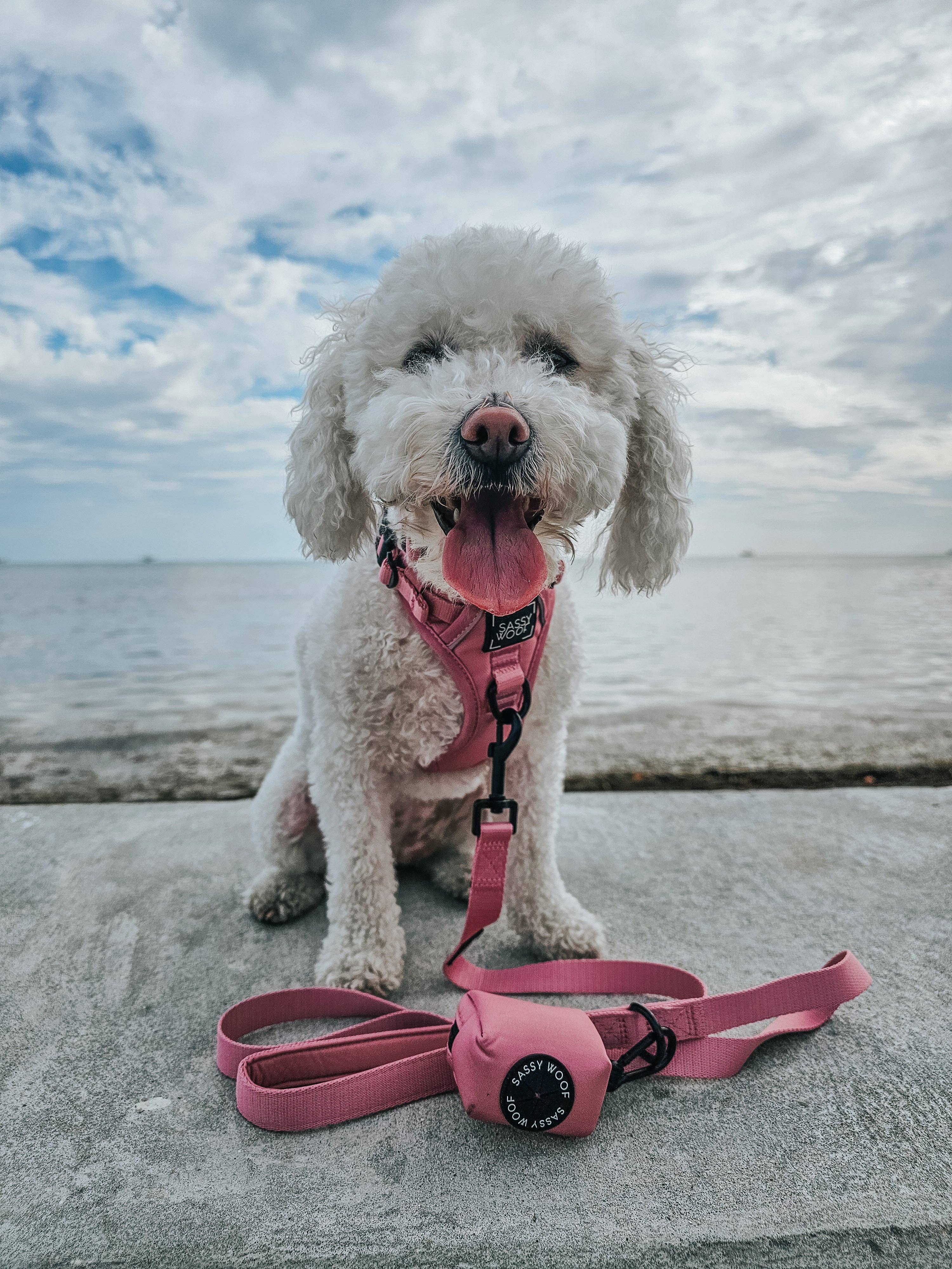Dog Waste Bag Holder Dusty Rose With Clasp