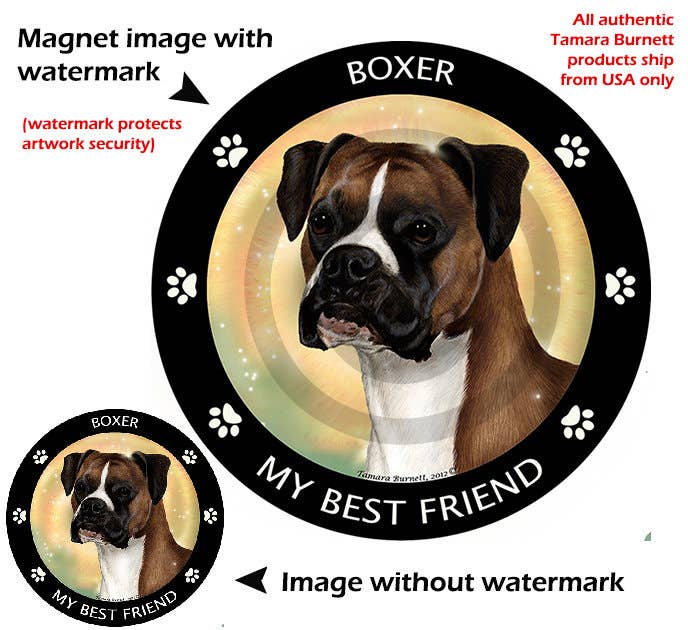 Boxer Fawn Uncropped My Best Friend Circular Magnet