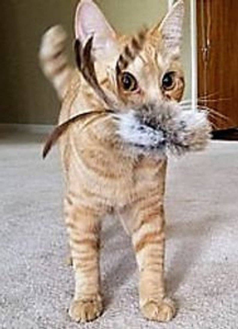 Cat Toy Natural Rabbit Fur & Feathers, Handmade, Birbits