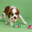 Dog Toy Candy Shaped Eggstra Sweets 3pc Small Dog Plush Toy Set