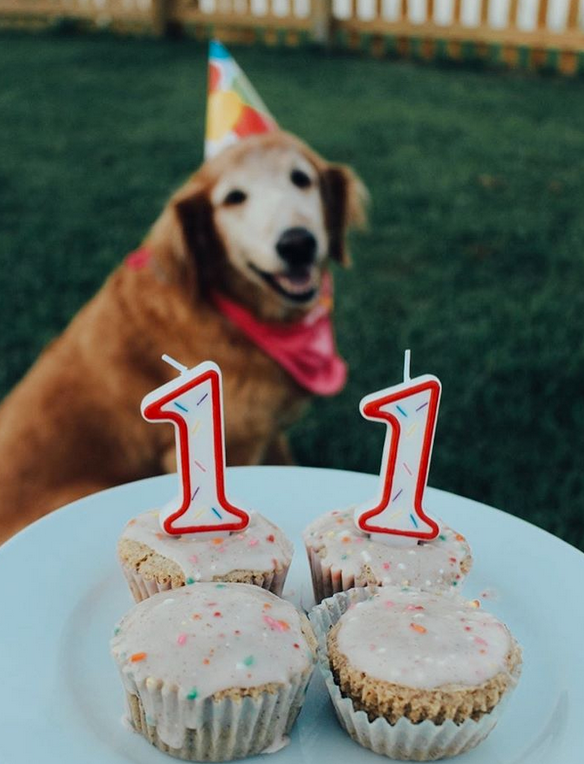 Vanilla Birthday Cake Mix w/Sprinkles & Frosting Mix