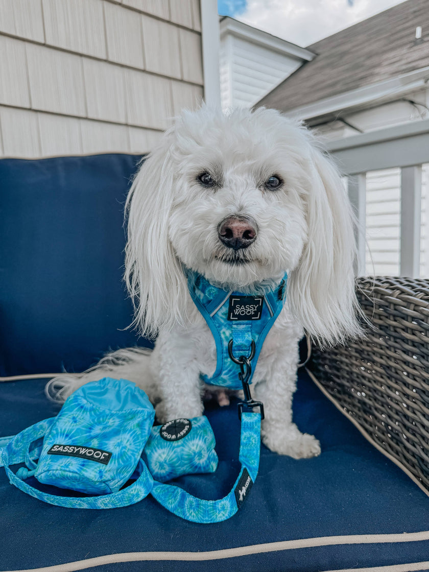 Dog Waste Bag Holder Blue Tropical Tides With Clasp
