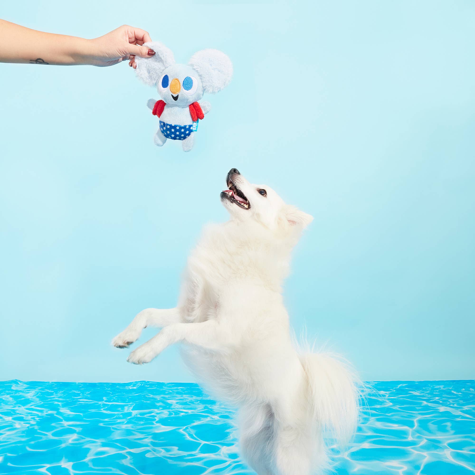 BARK Kiddie Pool Koala Plush Dog Toy