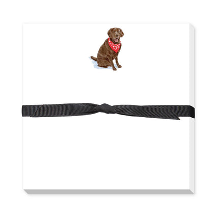 Labrador Chocolate  Retriever Memo Notepad