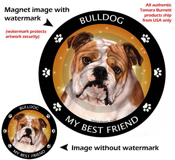 Bulldog Tan & White My Best Friend Circular Magnet