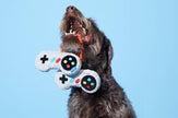 BARK Ate-Bit Controllers Dog Toy