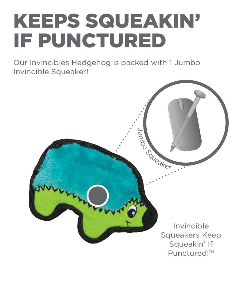 Outward Hound Invincibles Hedgehog Turquoise XS