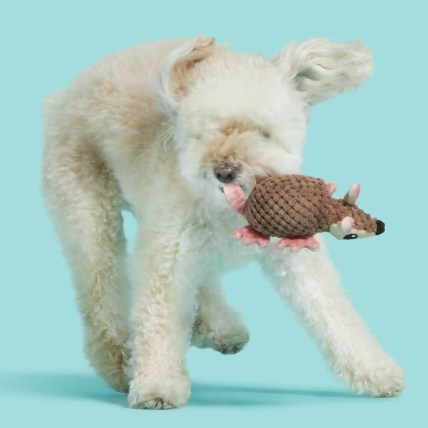 BARK Armie Dillo Push Dog Toy XS/S