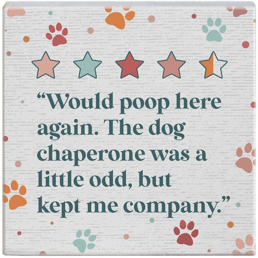 Stars Dog Chaperone - Small Talk Square