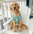 Hawaiian Camp Shirt - Surfboards and Palms