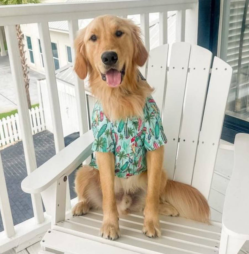 Hawaiian Camp Shirt - Surfboards and Palms