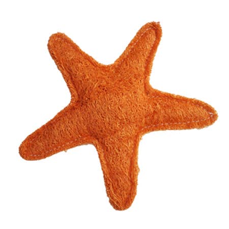 Hip Doggie -  Organic Vegetable Dental Toy - Starfish