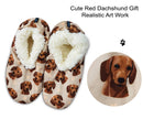 Dachshund, Red Slippers