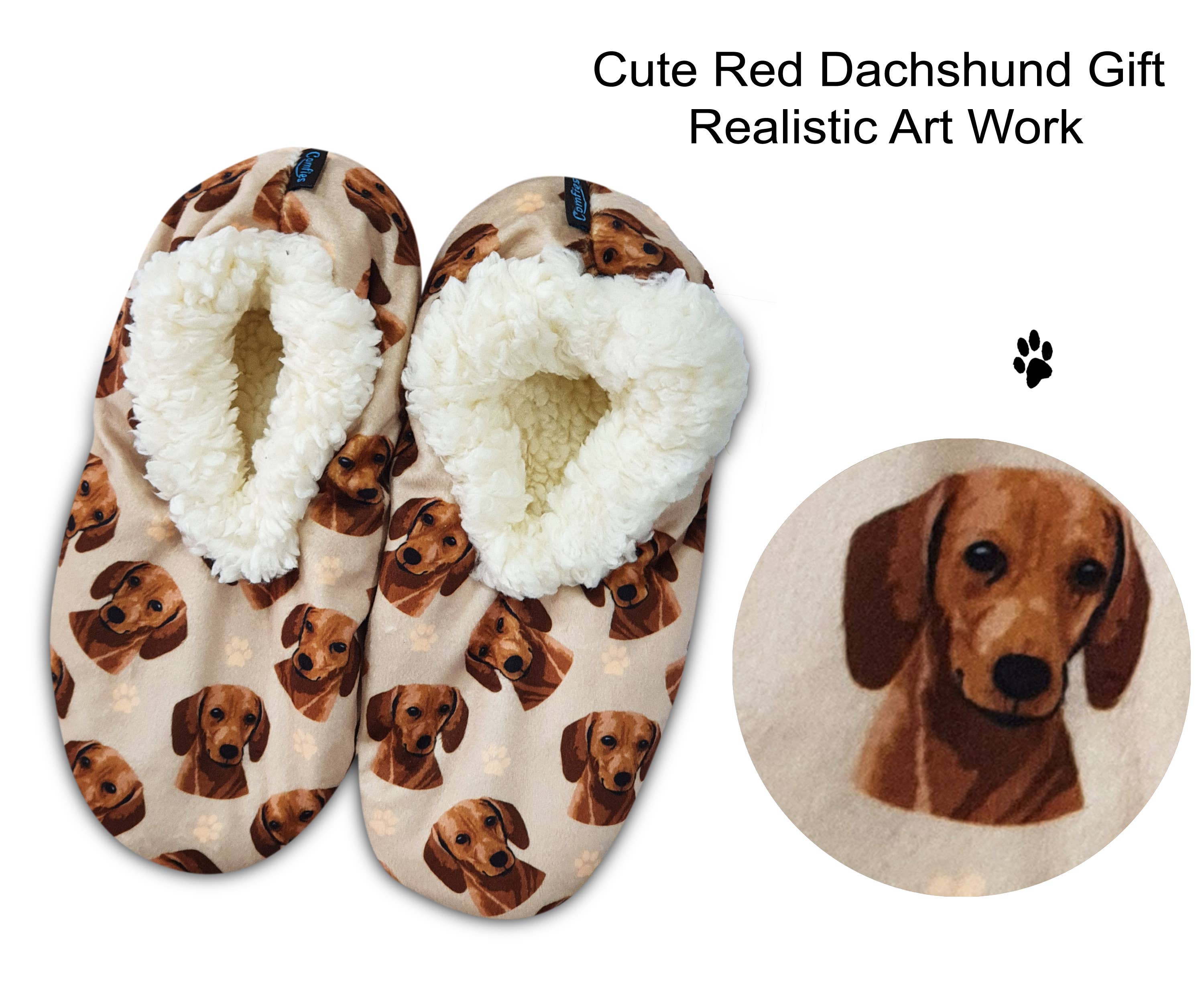Dachshund, Red Slippers