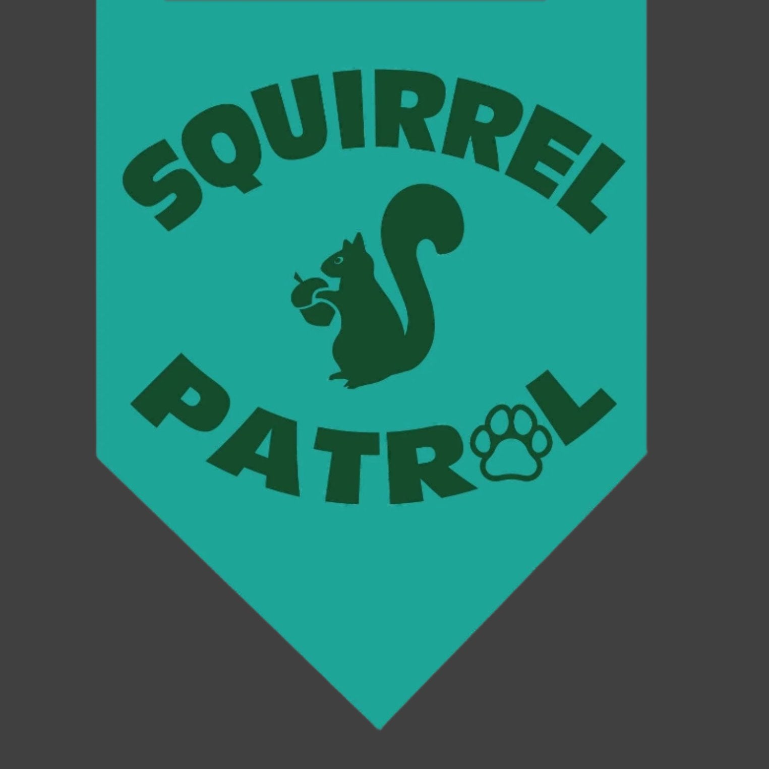 Squirrel Patrol Dog Bandana