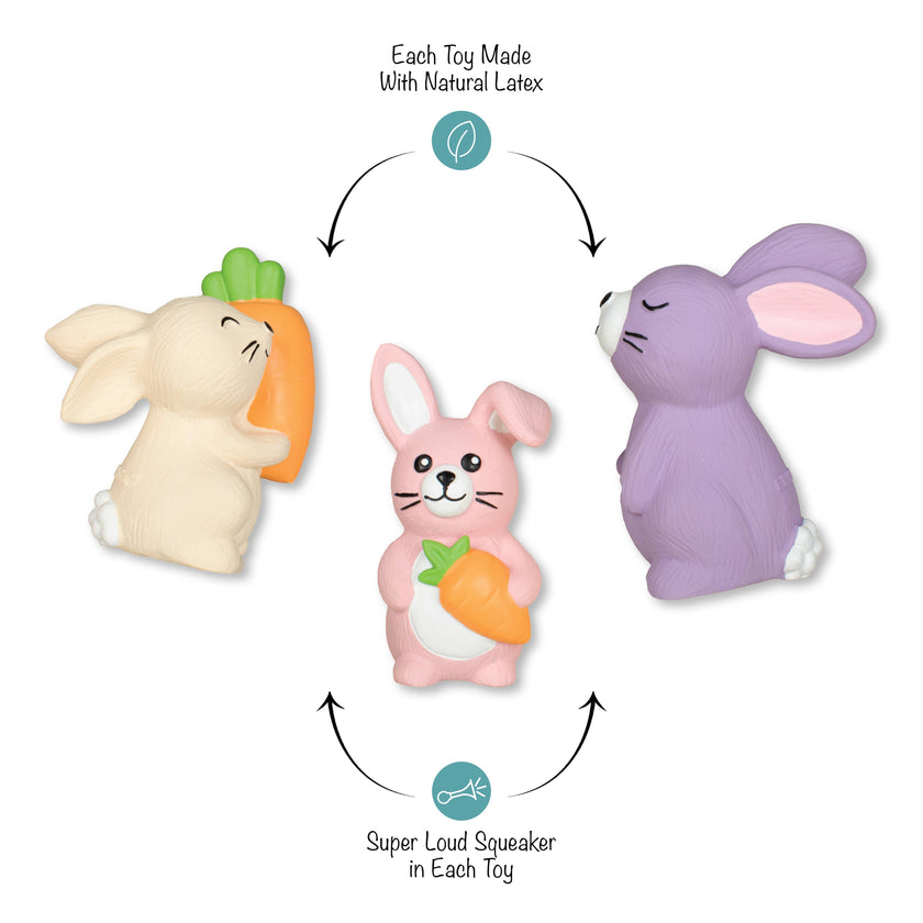 Dog Toy Bunny 3pc Hopping Love Carrots Latex Toy Set